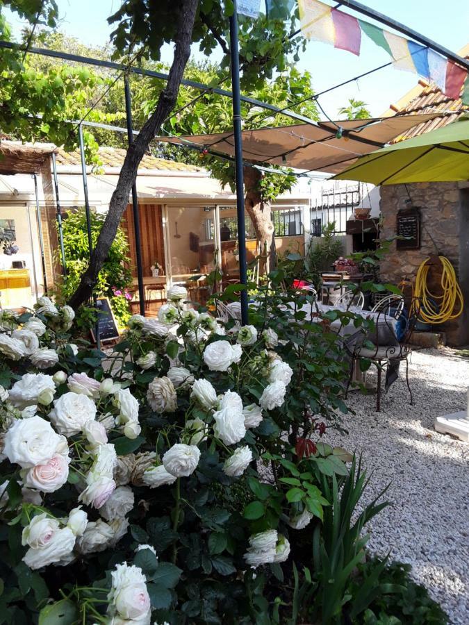 Les Terres Basses Ξενοδοχείο Fabrezan Εξωτερικό φωτογραφία